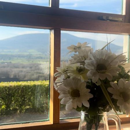 Yewwood Cottage Newry Zewnętrze zdjęcie